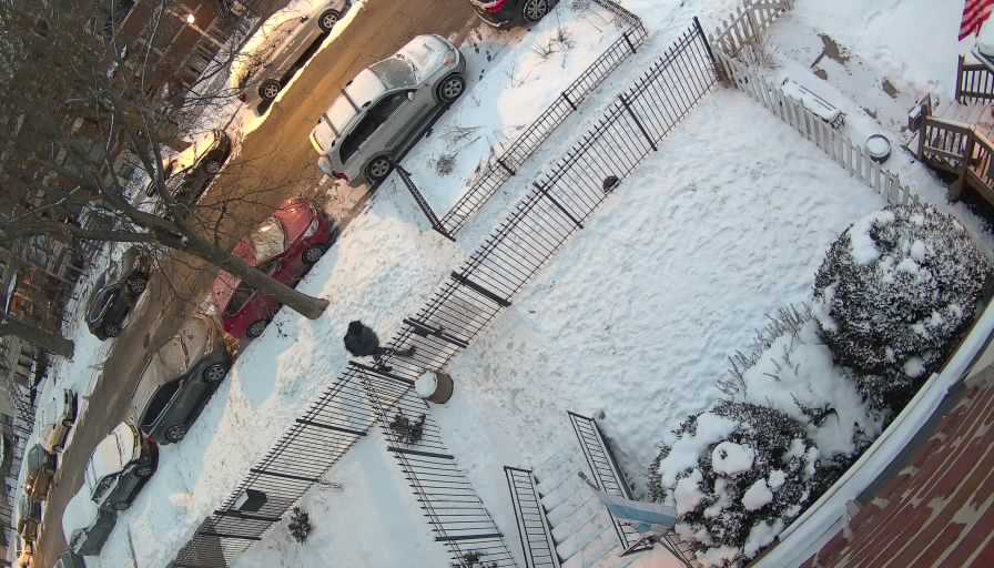 Reolink Camera Two_01_Reolink Home Hub One_20260131065712.jpg